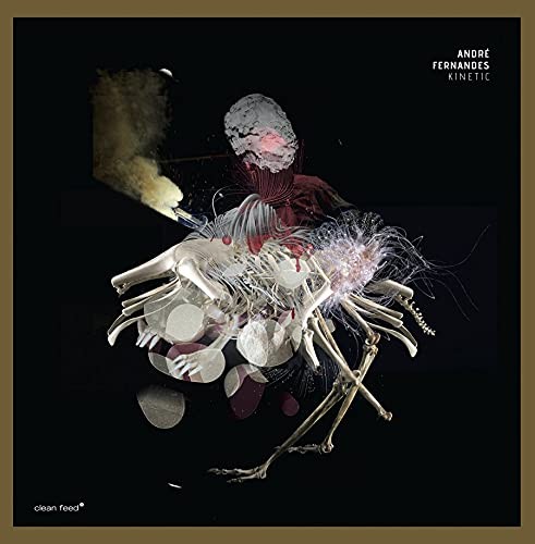 Fernandes Andre Kinetic (Vinyl LP)