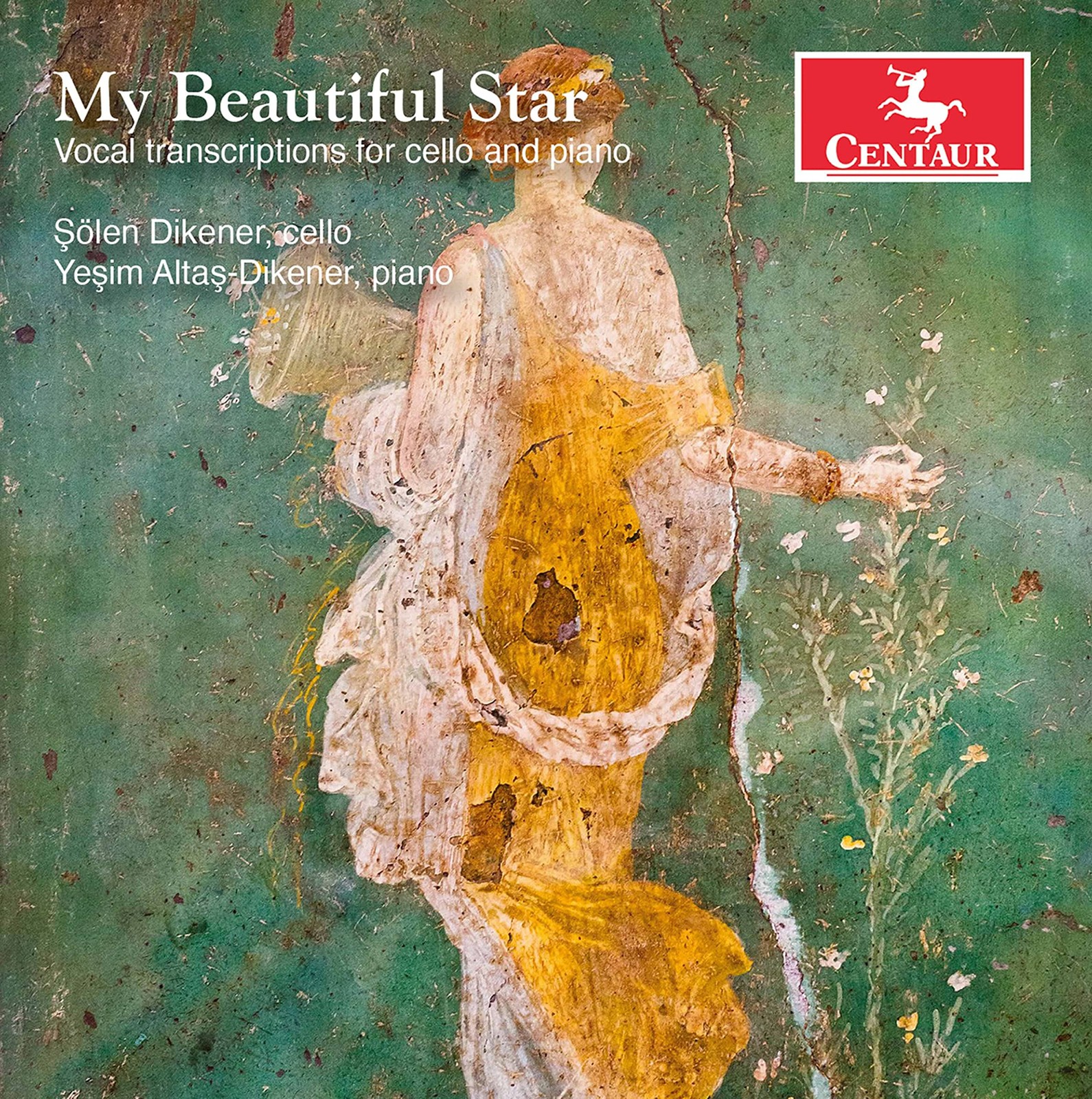 N/A My Beautiful Star (CD)