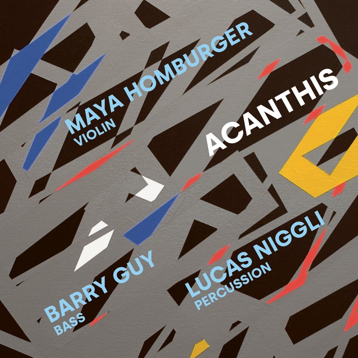 Maya Homburger Maya Homburger/Barry Guy/Lucas Niggli: Acanthis (CD) Album