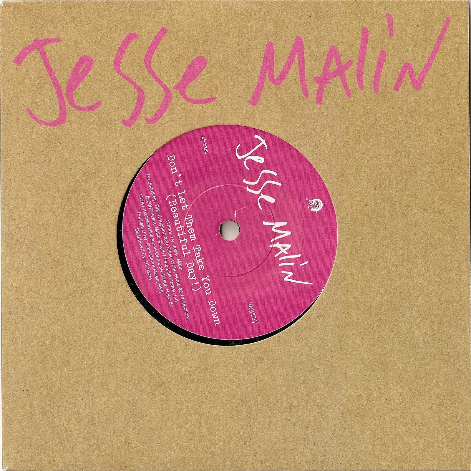 Jesse Malin Don't Let Them Take You Down (Vinyl LP)