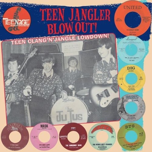 V/A Teen Jangler Blowout! (Vinyl LP)