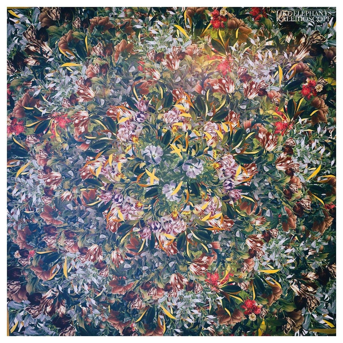 Like Elephants Kaleidoscope (CD)