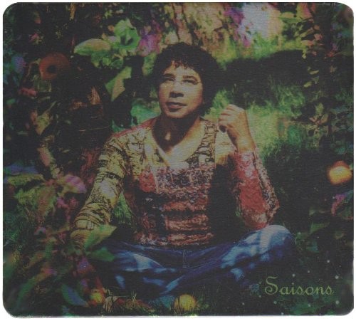 Laurent Voulzy Saisons : le Double Best of (CD)