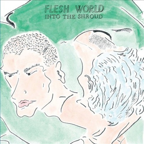 Into The Shroud by FLESH WORLD [VINYL]