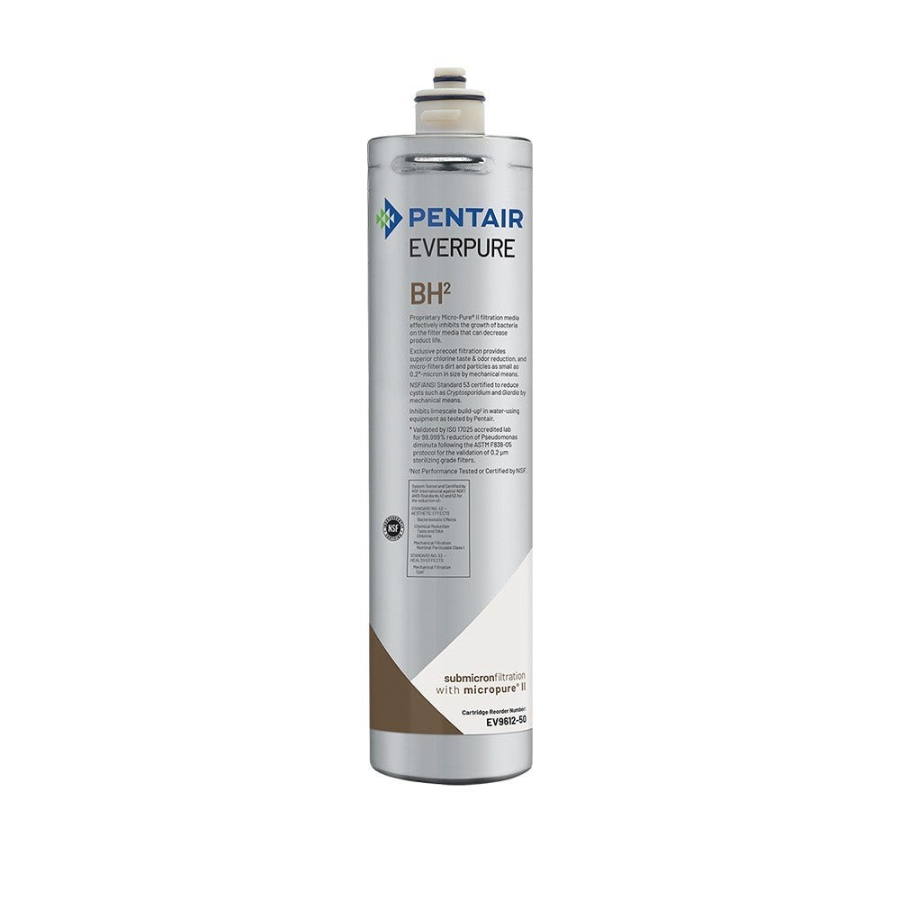 Filtro per l'acqua Everpure BH² EV9612-51