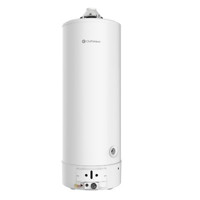 Scaldabagno A Gas Ag Lnx Ad Accumulo - 155 Lt