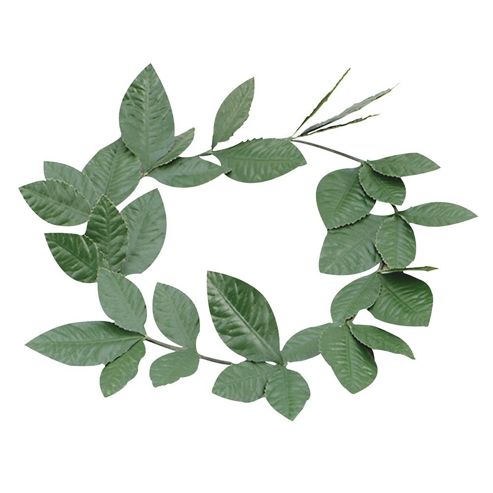 Bristol Novelty BA480, Corona d’Alloro, Verde, Taglia Unica
