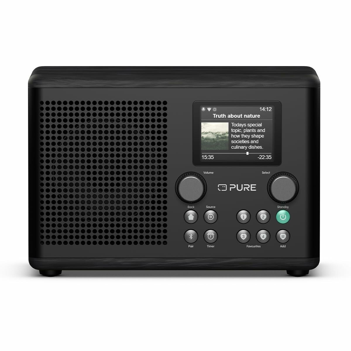Radio Portatile Pure PURE CLASSIC H4I