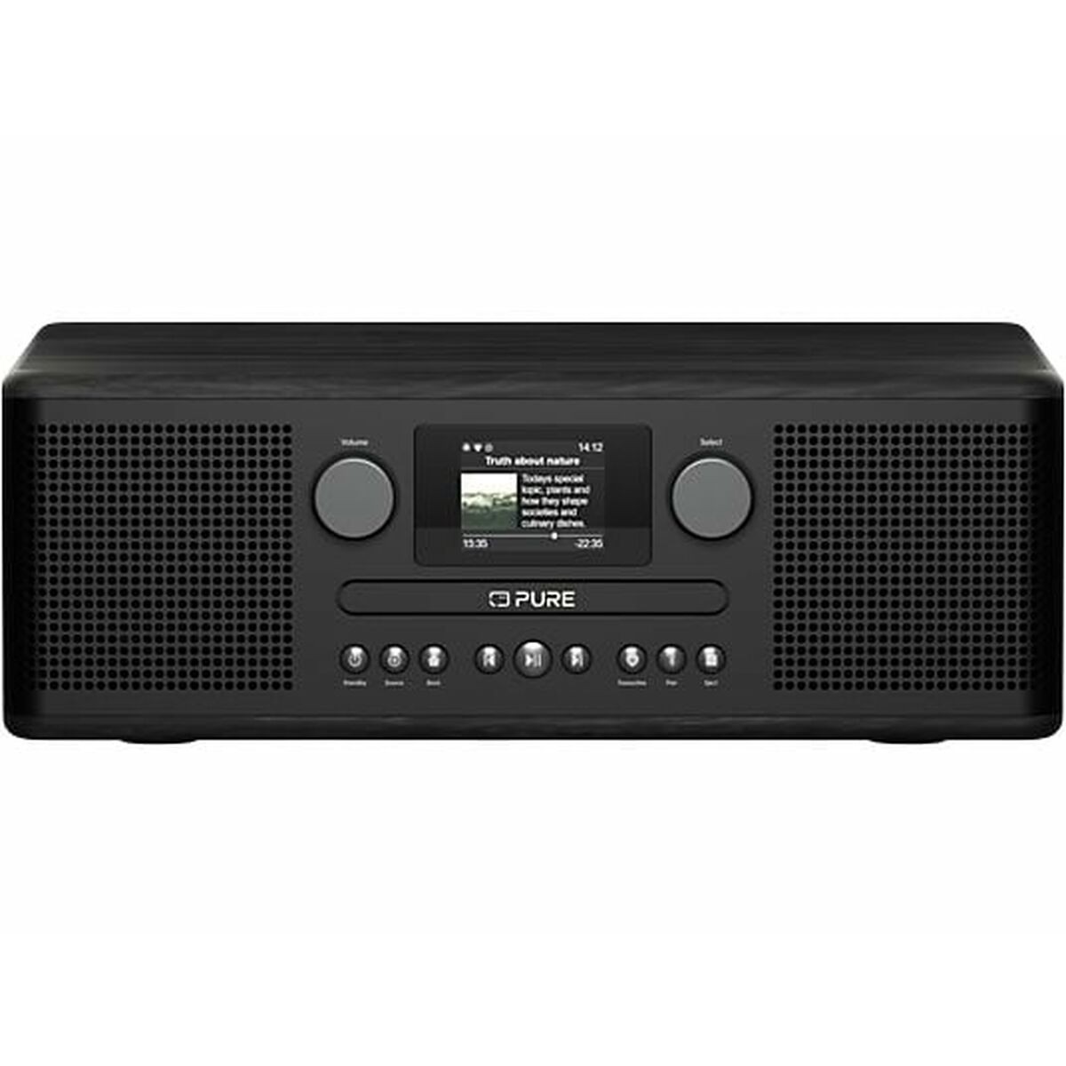 Radio Portatile Pure CLASSIC A-D6I Nero FM Retrò