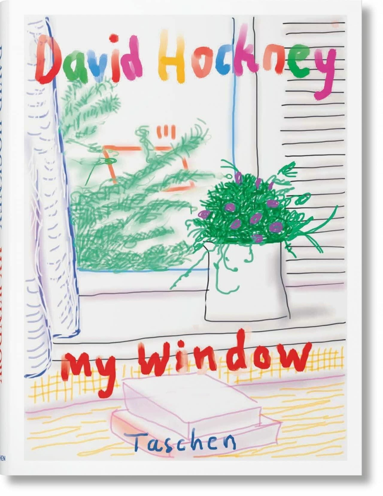 Libri David Hockney. My Window (English Edition)