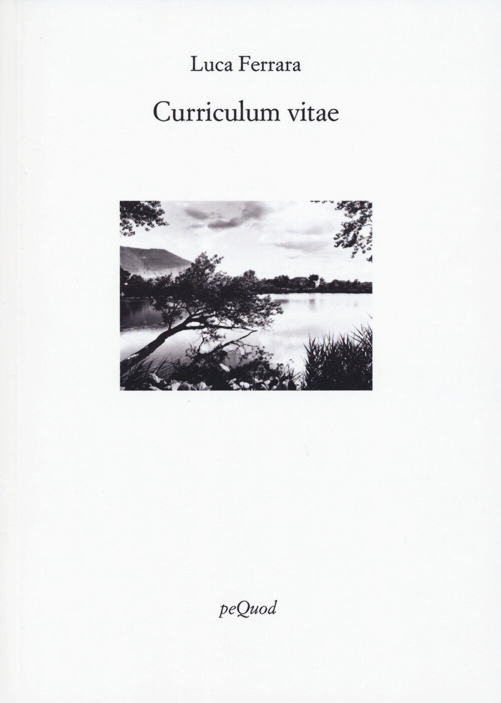 Curriculum vitae - Ferrara Luca
