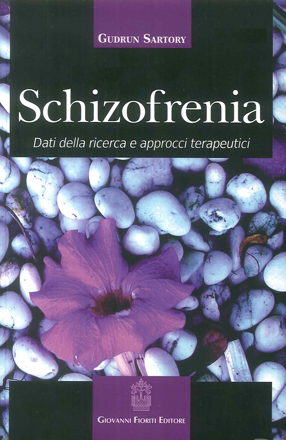 Schizofrenia. Dati della ricerca e approcci terapeutici - Sartory Gudrun