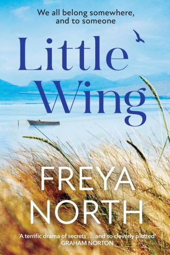 Little Wing: A beautifully written, emotional and heartwarming story [Paperback]
