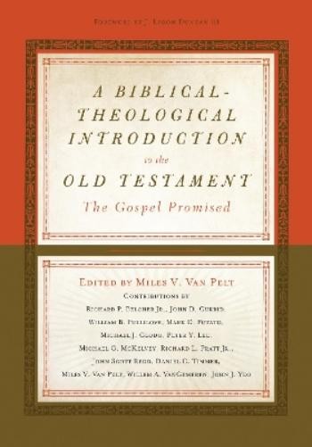 A Biblical-Theological Introduction to the Old Testament (Copertina rigida)