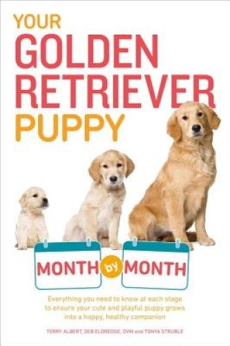 Your Golden Retriever Puppy Month by Month: Everything You Need to Know at