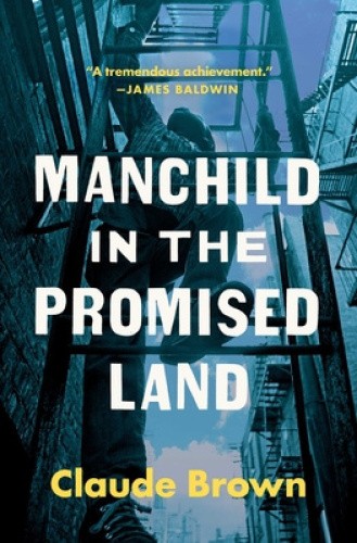 Manchild in the Promised Land by Claude Brown [Paperback]
