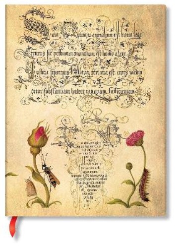 Flemish Rose (Mira Botanica) Ultra Unlined Hardcover Journal (Mira Botanica)