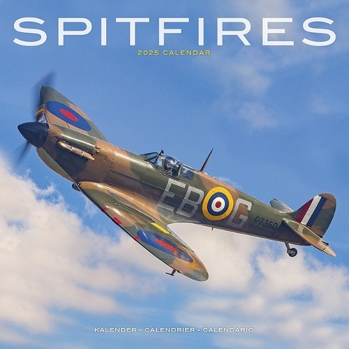 Spitfires Calendar 2025 Square Plane Wall Calendar - 16 Month [Calendar]
