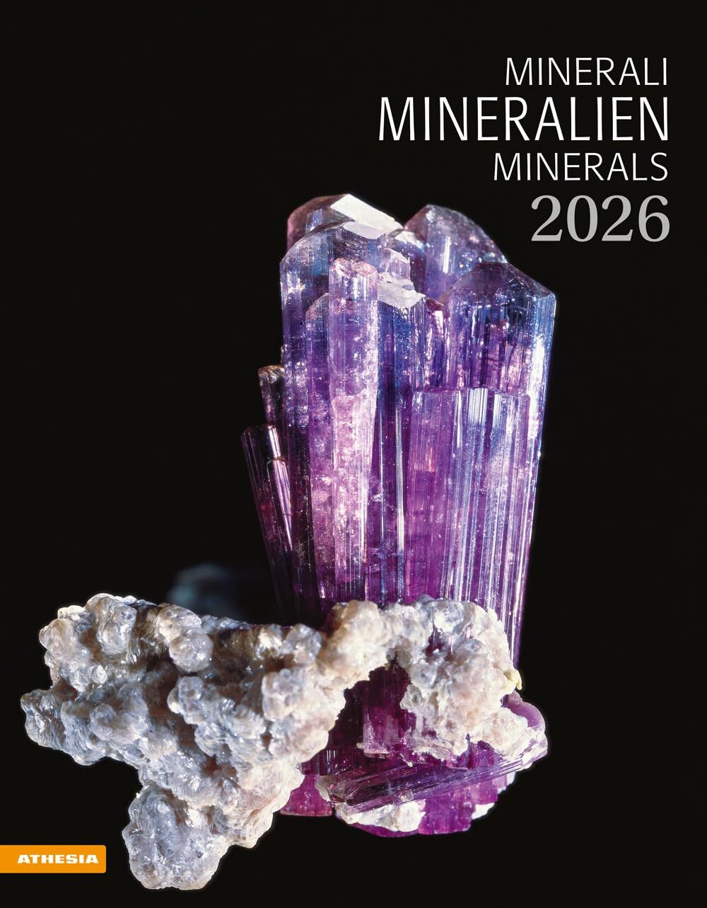 Mineralien. Minerali. Calendario grande 2026 [Calendar] AA.VV.