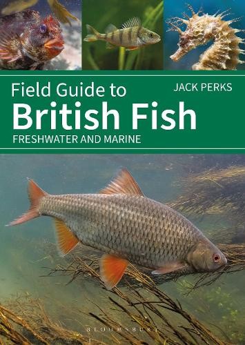 Field Guide to British Fish: Freshwater and Marine (Bloomsbury Naturalist)
