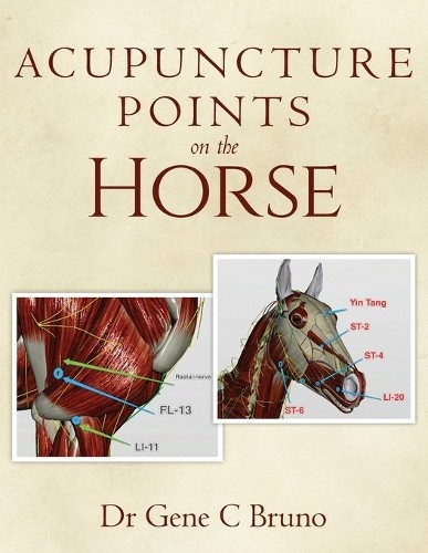 Gene C Bruno Acupuncture Points on the Horse (Tascabile)