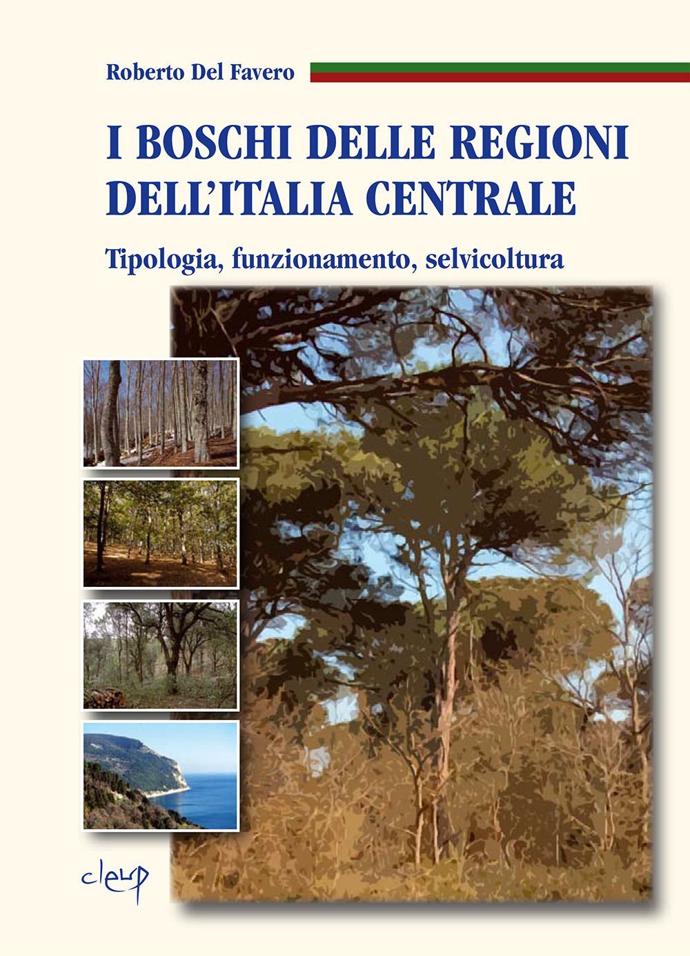 Libri Del Favero Roberto - I Boschi Delle Regioni Dell'italia Centrale. Tipologi