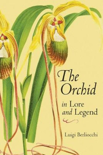 The Orchid in Lore and Legend by Berliocchi, Luigi [Paperback]