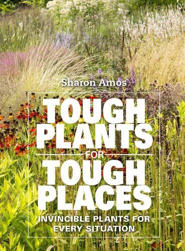 Tough Plants for Tough Places: Invincible Plants for Every Situation [Hardback]