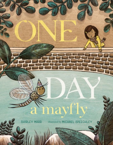 One Day a Mayfly by Shirley Marr [Hardback]