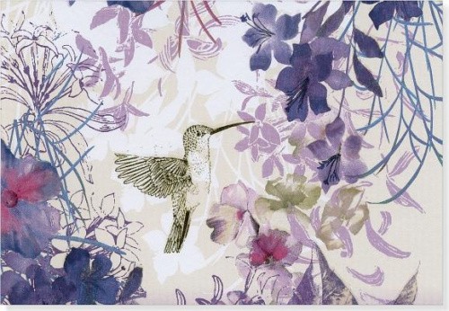 Hummingbird Note Cards (14 Cards/15 Envelopes) [Gift/Card]