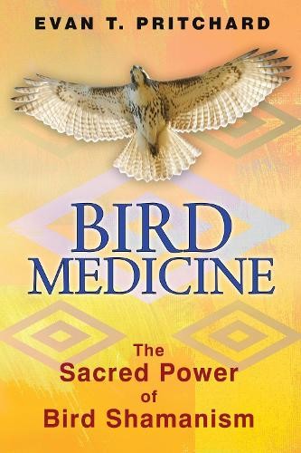 Evan T. Pritchard Bird Medicine (Tascabile)