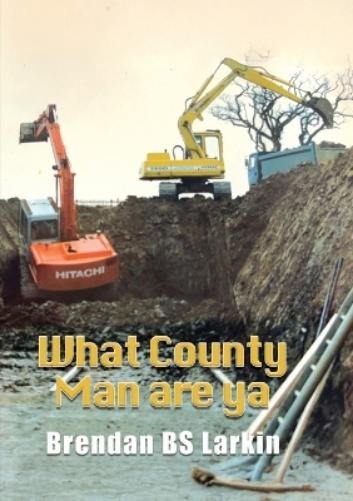 Brendan Bs Larkin What County Man are Ya (Tascabile)