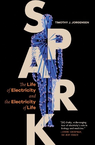 Timothy J. Jorgensen Spark (Tascabile)