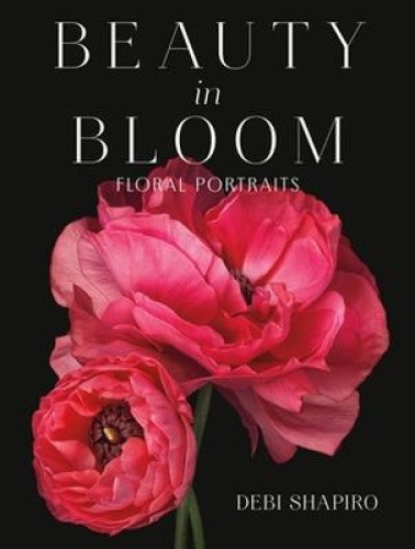 Beauty in Bloom: Floral Portraits by Debi Shapiro [Hardback]