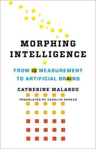Morphing Intelligence: From IQ Measurement to Artificial Brains (Wellek