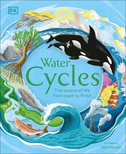 Water Cycles (DK Life Cycles) by DK [Hardback]