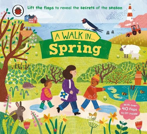Rose Cobden A Walk in Spring (Libro di cartone) Walk in...
