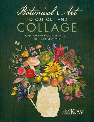 Kew Royal Botanic Gardens Botanical Art to Cut out and Collage (Tascabile)