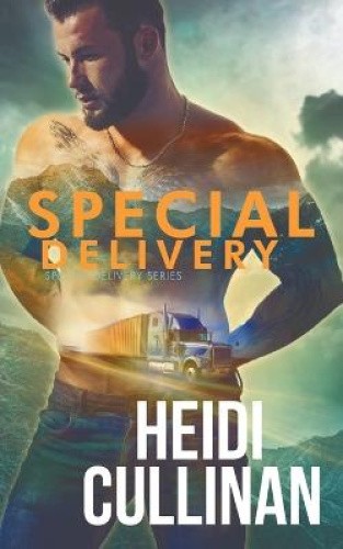 Special Delivery (Special Delivery) by Heidi [Paperback]