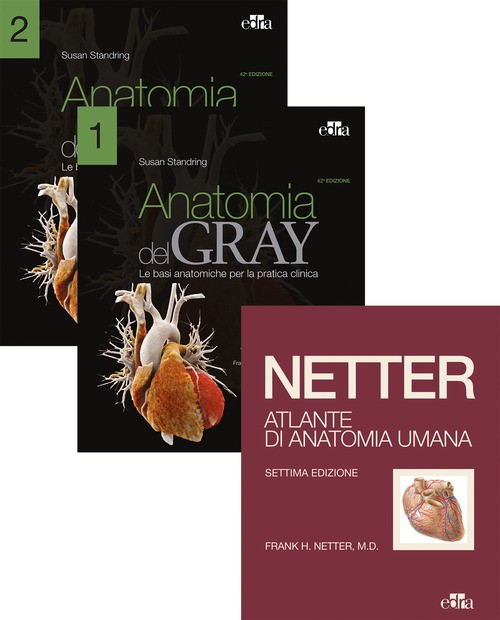 Netter Gray. L'anatomia: Anatomia del Gray-Atlante di anatomia um