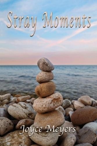 Joyce Meyers Stray Moments (Tascabile)