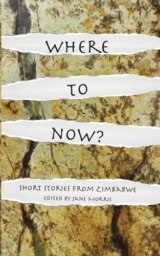 Jane Morris Where to Now? (Tascabile)