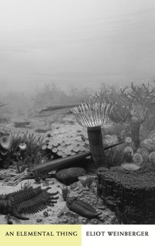 Eliot Weinberger An Elemental Thing (Tascabile)