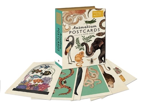 Animalium Postcards (Postcards) Welcome To The Museum