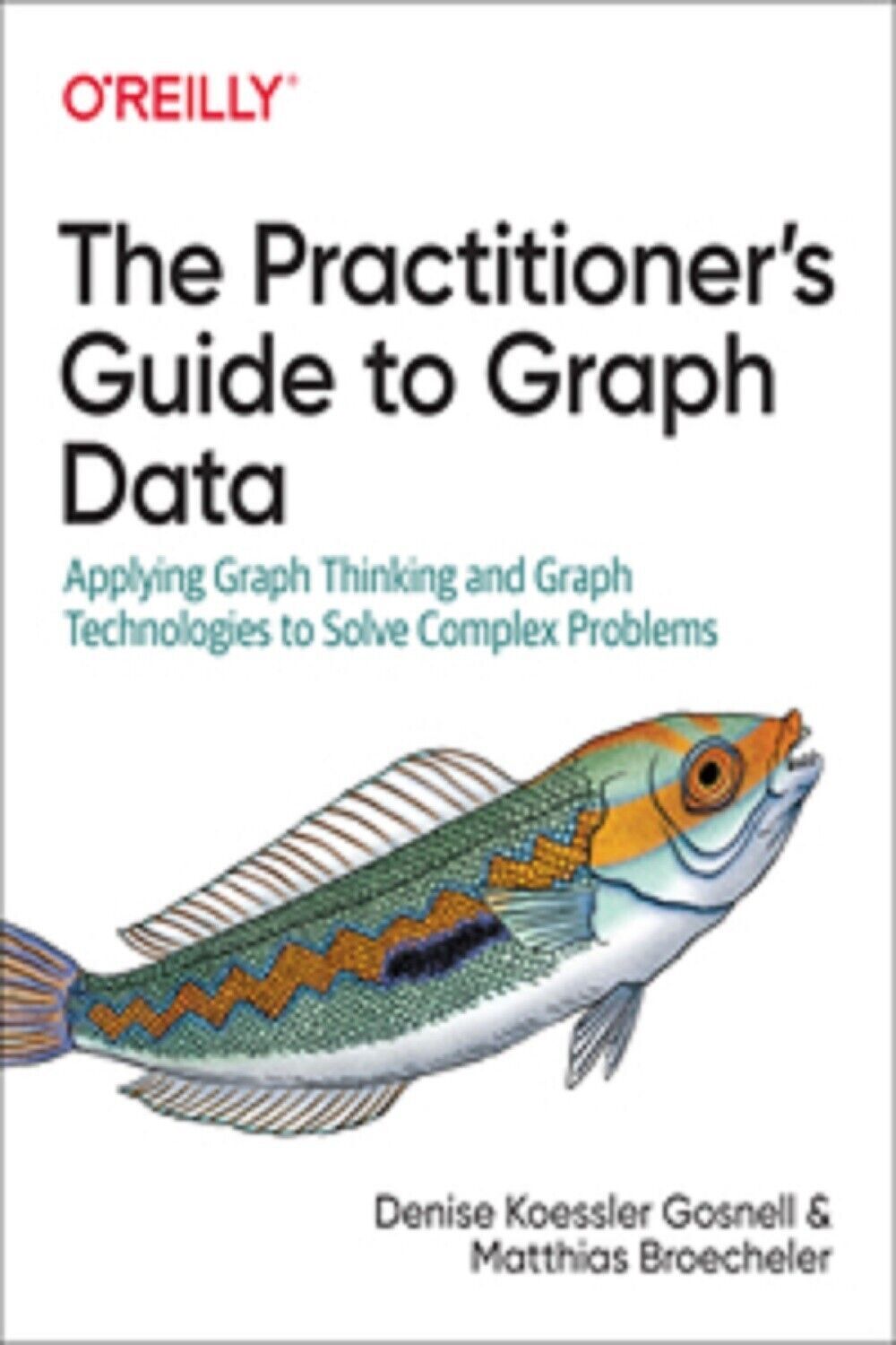 O'Reilly La Guida Pratica Ai Dati Grafici Copertina Flessibile N542