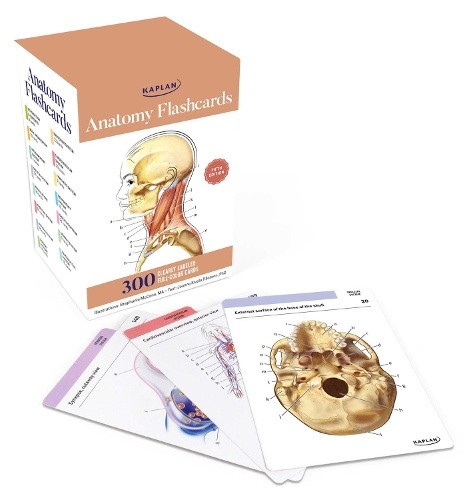 Anatomy Flashcards: 300 Flashcards with Anatomically Precise Drawings and