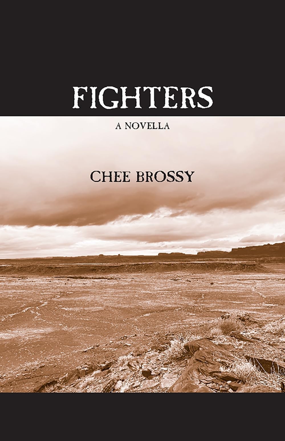 Chee Brossy Fighters: A Novella (Tascabile)