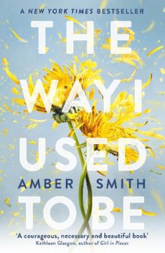 The Way I Used to Be: TikTok made me buy it! by Smith, Amber [Paperback]