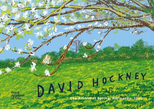 Edith Devaney David Hockney William Boyd David Hockney (Copertina rigida)