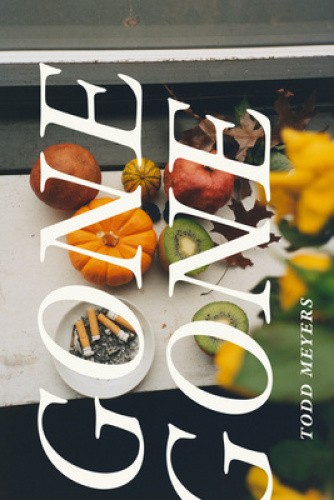 Gone Gone by Todd Meyers [Hardback]